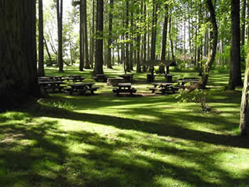 Reservable Picnic Area #2