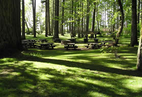 reservable picnic area #2